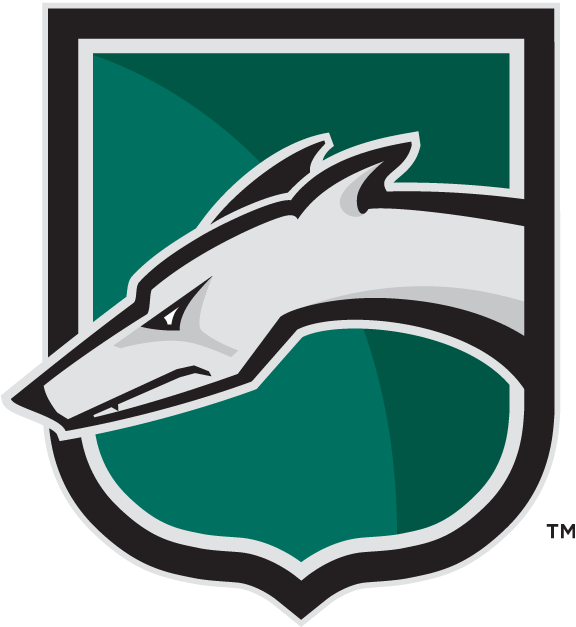 Loyola-Maryland Greyhounds 2002-Pres Alternate Logo v2 diy DTF decal sticker